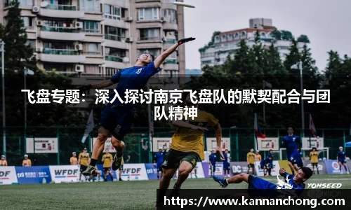 飞盘专题：深入探讨南京飞盘队的默契配合与团队精神